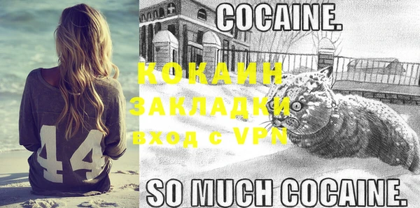 хмурый Дмитров
