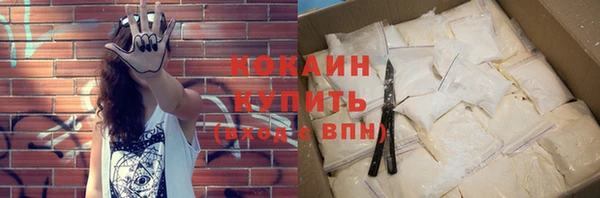 хмурый Дмитров