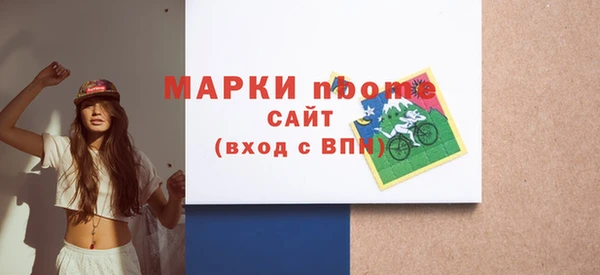 хмурый Дмитров