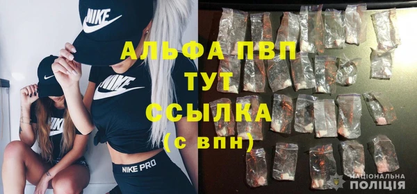 хмурый Дмитров
