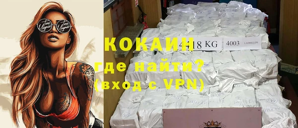 хмурый Дмитров
