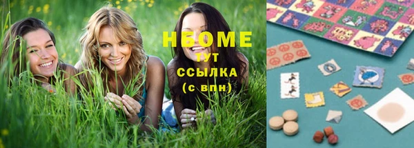 хмурый Дмитров